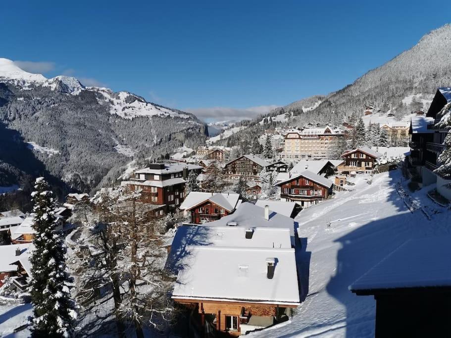 Apartment Chalet Im Sunnigen Usblick Wengen Exterior photo