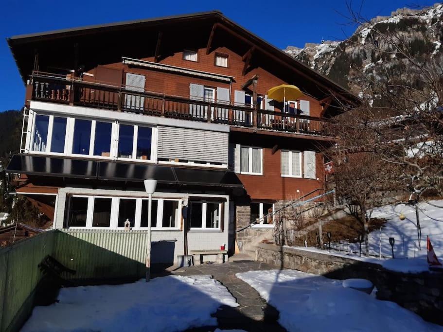 Apartment Chalet Im Sunnigen Usblick Wengen Exterior photo